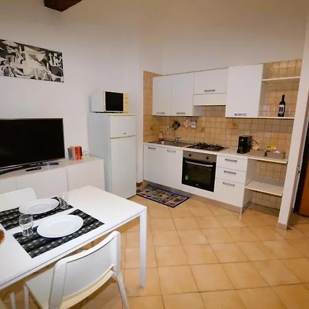 Storchi 417