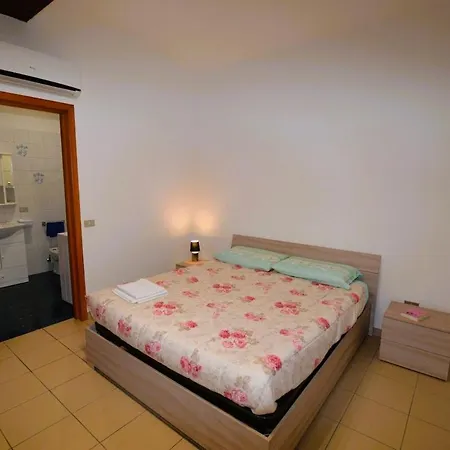 Storchi 417